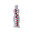 Slimtop Capsule (Orlistat)2222
